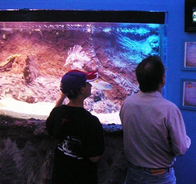 Due anni d’oro per l’acquario di Valpiana
