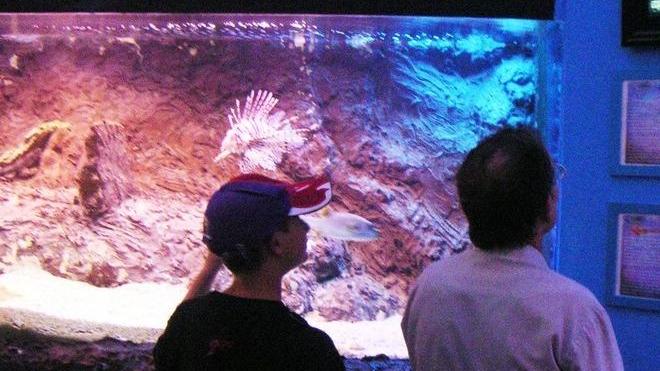 Due anni d’oro per l’acquario di Valpiana