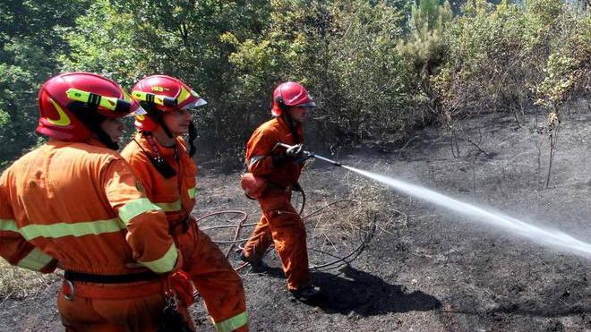 Incendio minaccia le abitazioni nel Sibolla