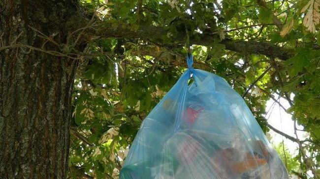 Ora a Fucecchio c’è un albero che produce rifiuti