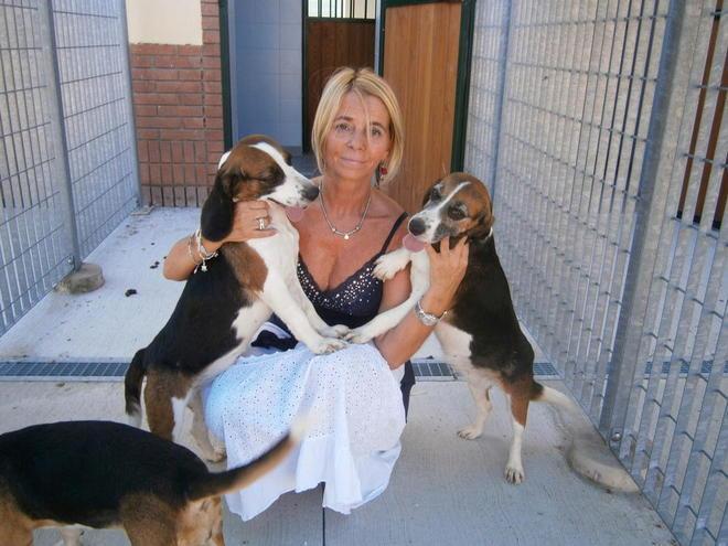 Ventuno beagle accolti alla clinica veterinaria di San Piero a Grado 