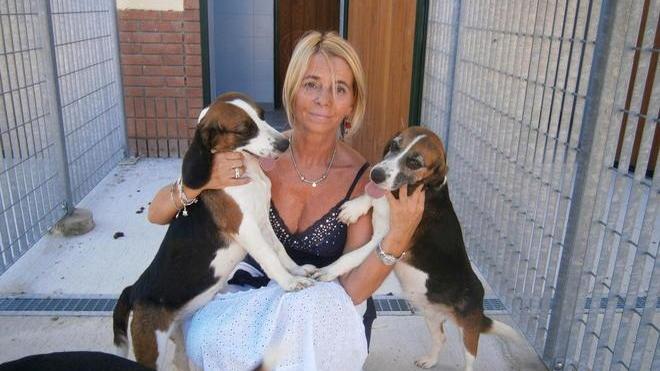 Ventuno beagle accolti alla clinica veterinaria di San Piero a Grado