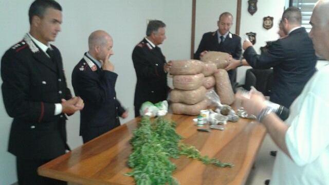 In giardino aveva una serra con piante di marjiuana: arrestato
