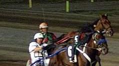 Il Campionato delle stelle: in pista sindaci, attori e giornalisti