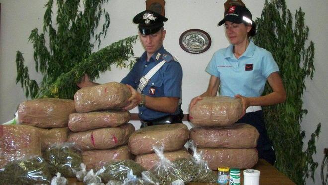 Spunta la marijuana nel giardino Gli sequestrano 34 chili: arrestato 