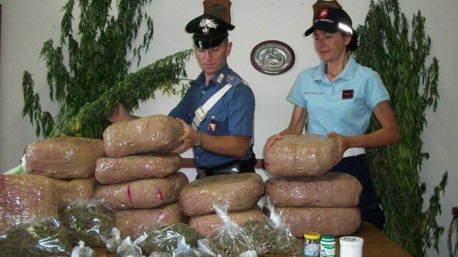 Spunta la marijuana nel giardino Gli sequestrano 34 chili: arrestato