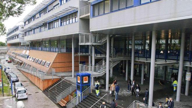 Pisa corteggia i primari del Versilia