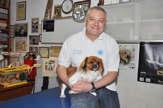 «Sta con Green Hill», insulti e false accuse al veterinario 