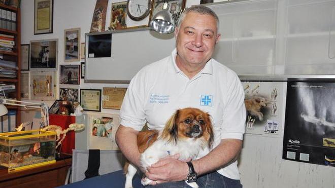 «Sta con Green Hill», insulti e false accuse al veterinario
