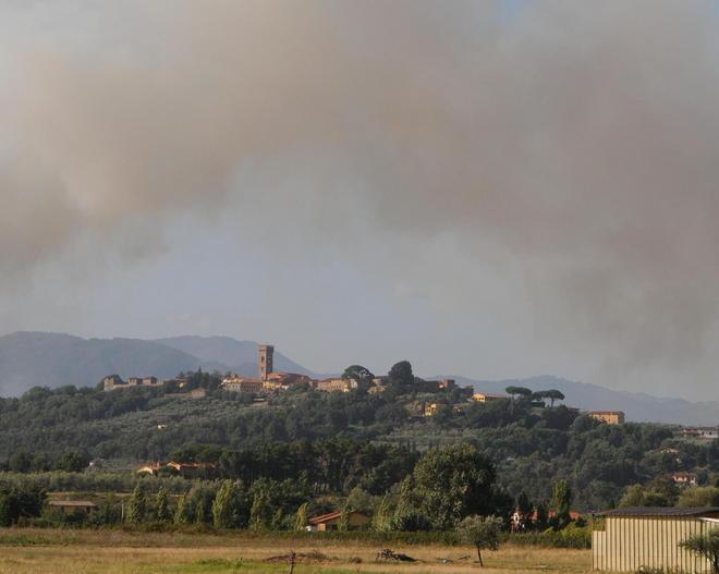 Cittadino sventa a Montecarlo il tentativo di incendiare un bosco 