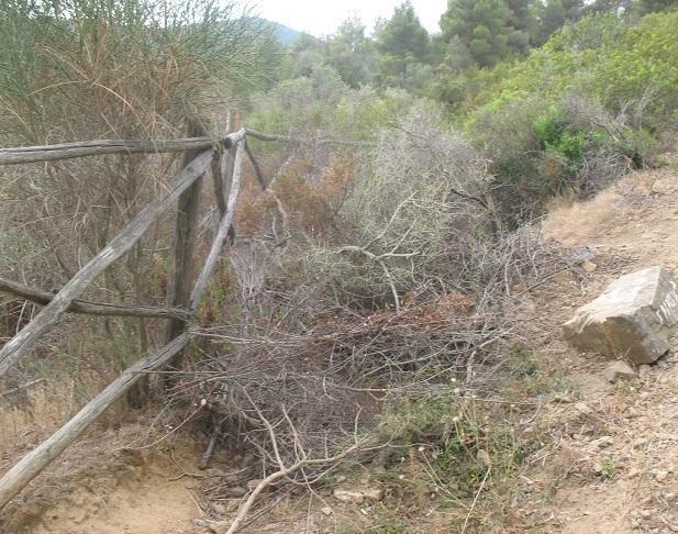 Un altro sentiero chiuso, Legambiente scrive al sindaco Segnini 