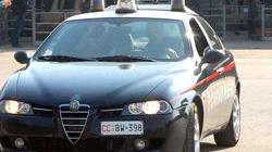 Truffa un vivaista: denunciato