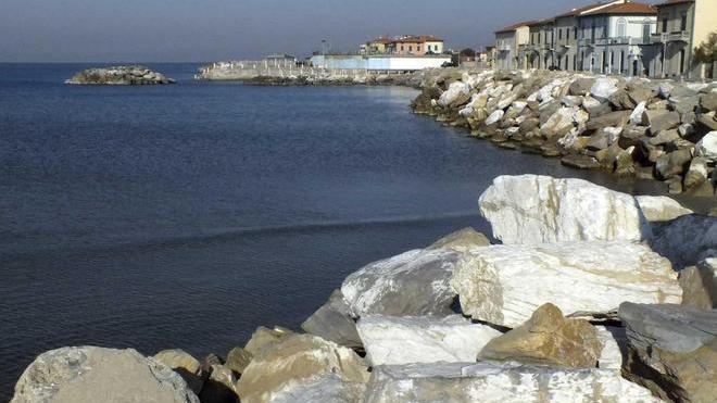 Torna l’alga tossica sul litorale di Marina