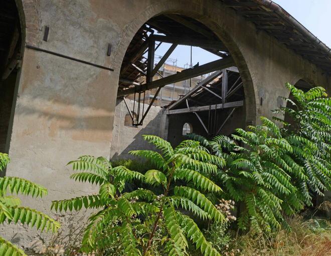 Ex Leoncini, avanza solo il degrado 