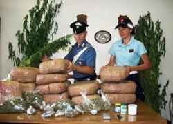 Coltivava marijuana, resta in cella 