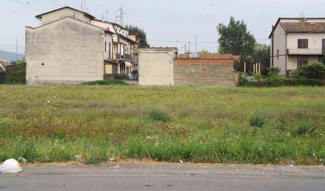 «Viviamo in mezzo ai ranocchi» 