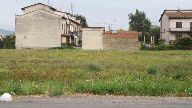 «Viviamo in mezzo ai ranocchi»