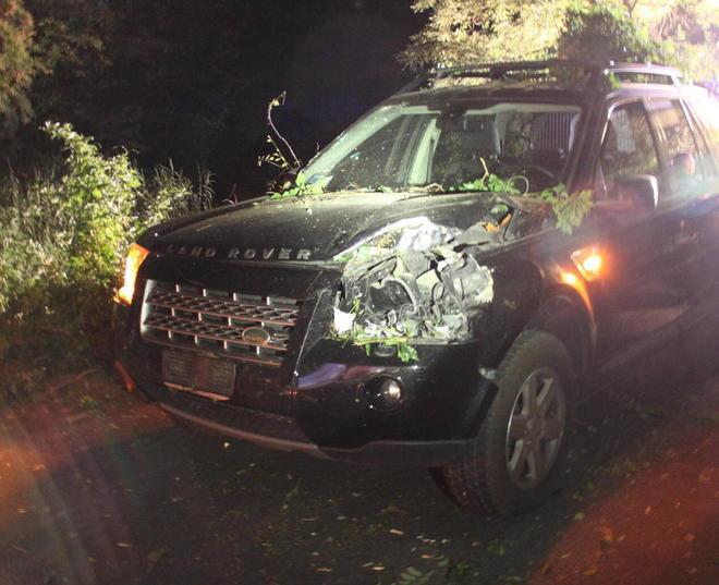 Albero su auto a Buti «Piante in bilico era già successo» 
