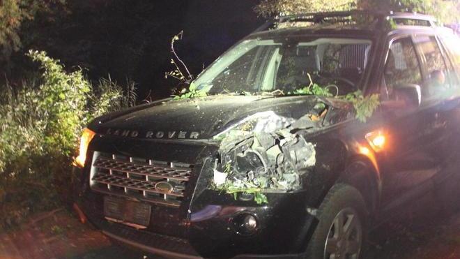 Albero su auto a Buti «Piante in bilico era già successo»