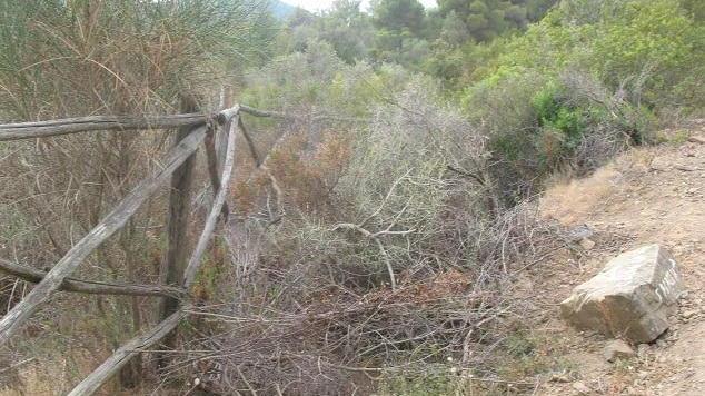 Strada chiusa per la spiaggia dei Salandri