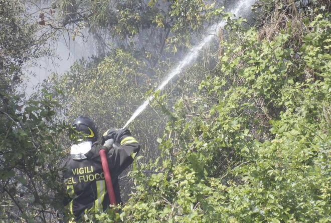 Incendio nel parco di San Rossore, probabile rogo doloso 