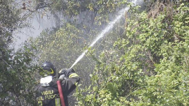 Incendio nel parco di San Rossore, probabile rogo doloso