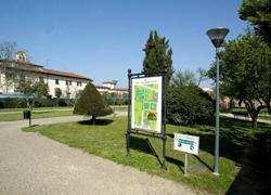 Ladri nei campi estivi del Parco dell’Ambrogiana 