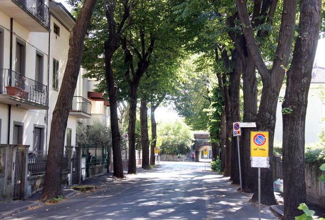 Nuovo taglio degli alberi in via Mayer