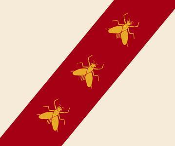 Il segreto della bandiera elbana 