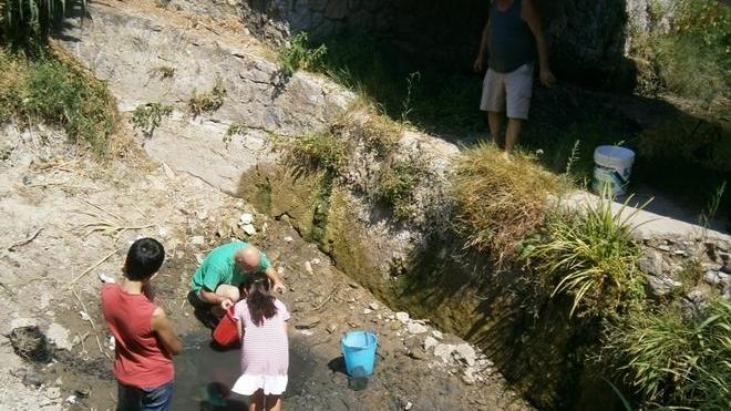 Canale a secco, i paesani salvano i pesci