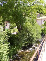 Butta i rifiuti nel fiume e scappa 
