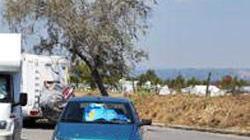 Parcheggi e servizi a Marina di Bibbona