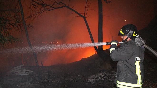 Incendio doloso brucia cinque ettari a San Rossore