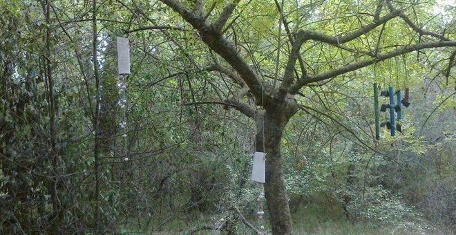 Escursione notturna al Parco della Sterpaia