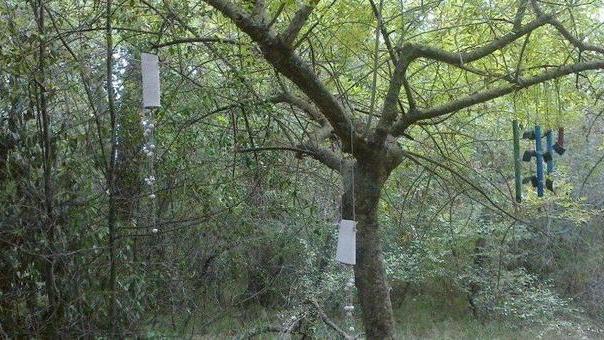Escursione notturna al Parco della Sterpaia