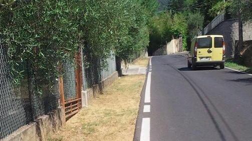 A Capannori è guerra per l’erba