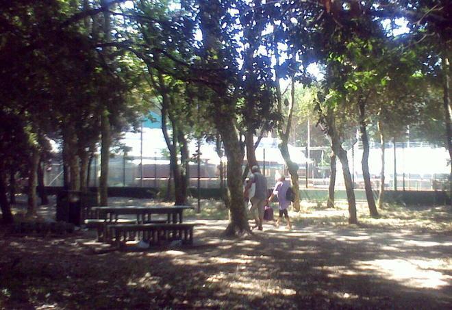 Il sentiero dello spaccio in pineta di Ponente 