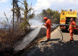 Incendio al Terrafino, le fiamme sfiorano abitazioni e aziende 