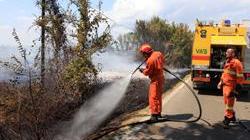 Incendio al Terrafino, le fiamme sfiorano abitazioni e aziende