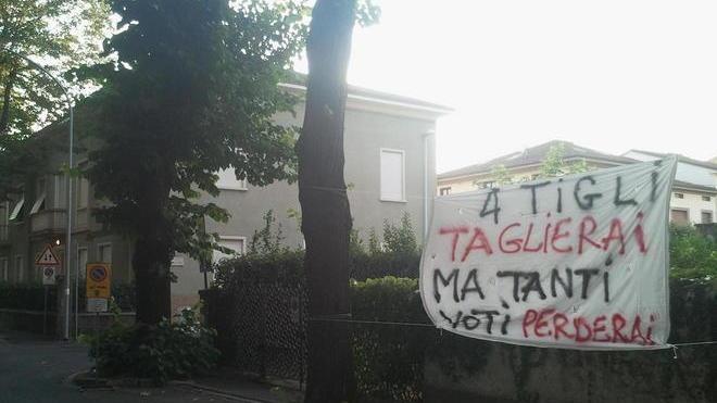 Taglio degli alberi di via Mayer Un nuovo striscione di protesta
