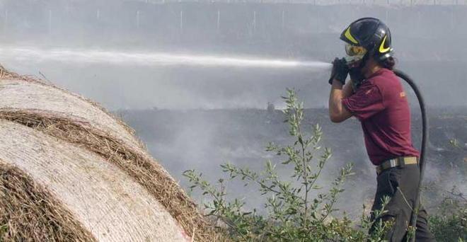 Rischio incendi, è vietato bruciare i residui vegetali