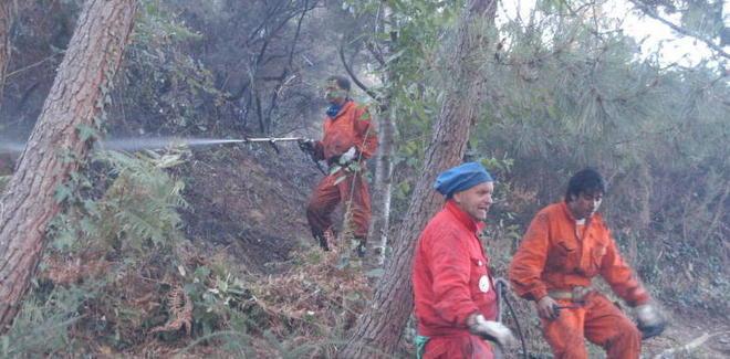 Fuoco ancora alla Bufalina C’è la mano del piromane 