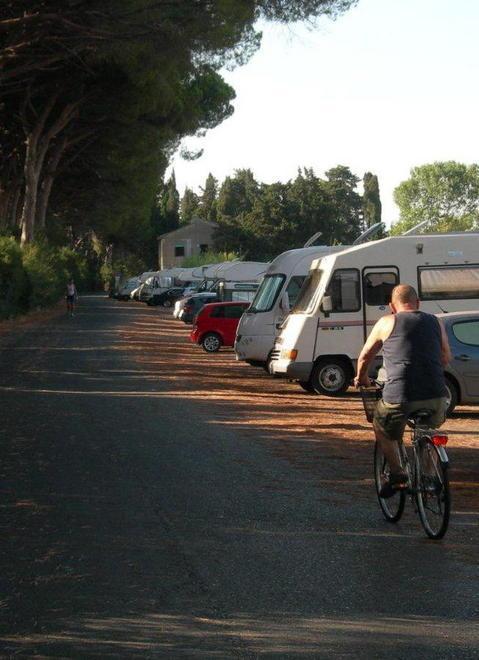 Sos incendi e controlli ridotti all’osso: chiusa la strada della pineta 