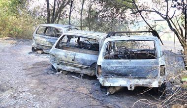 Fiamme a San Pierino e Botinaccio: in fumo tredici ettari di terreno 