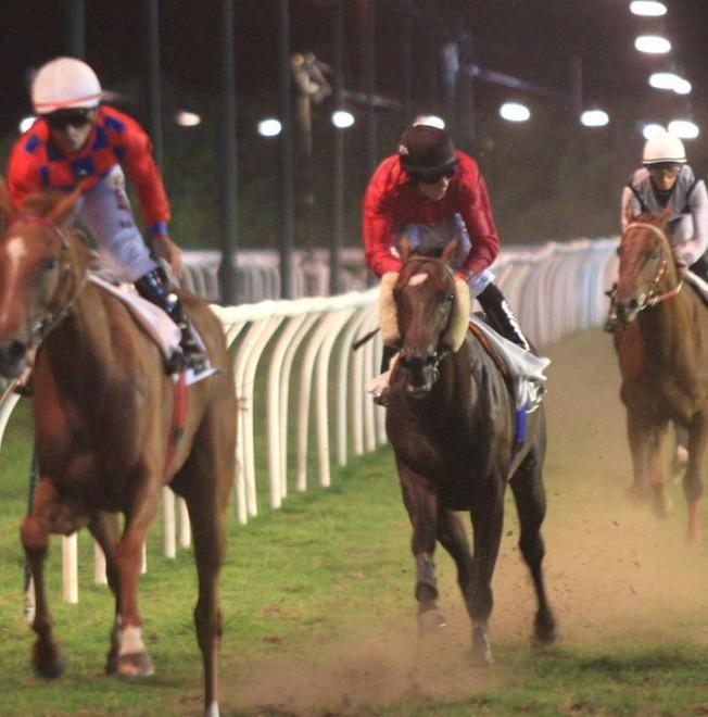 E’ l’ora del Criterium Freetown favorito occhio a Unexpectedly