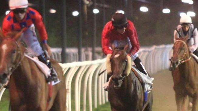 E’ l’ora del Criterium Freetown favorito occhio a Unexpectedly