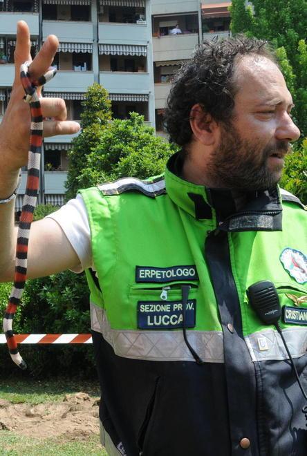 L’erpetologo condannato dal gip a pagare 7500 euro 