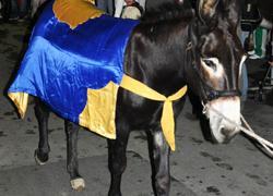 Roccatederighi Tutto è pronto per il Palio 