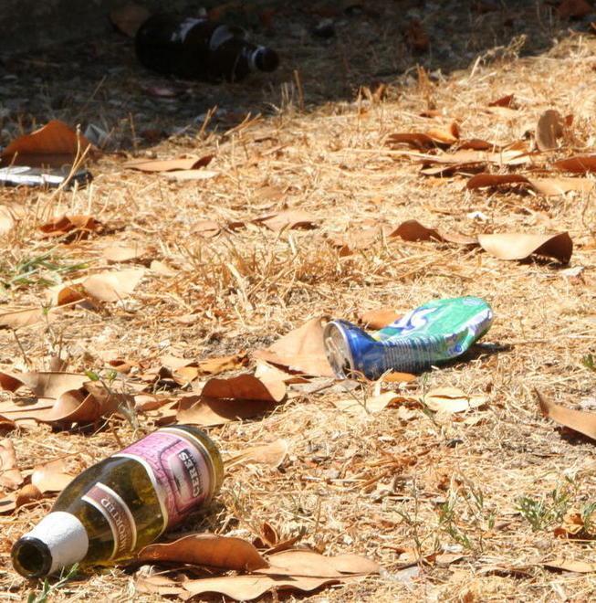 Piante secche ed erba ingiallita in centro 
