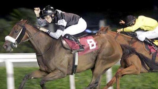 Con Roman Dream e Avomcic un Criterium Labronico in rosa